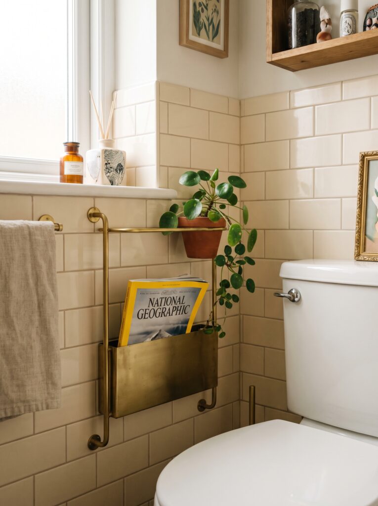 A slim brass wall rack beside a toilet, holding a folded National Geographic magazine and a trailing Chinese money plant, with a framed botanical print above and a linen towel on a nearby bar